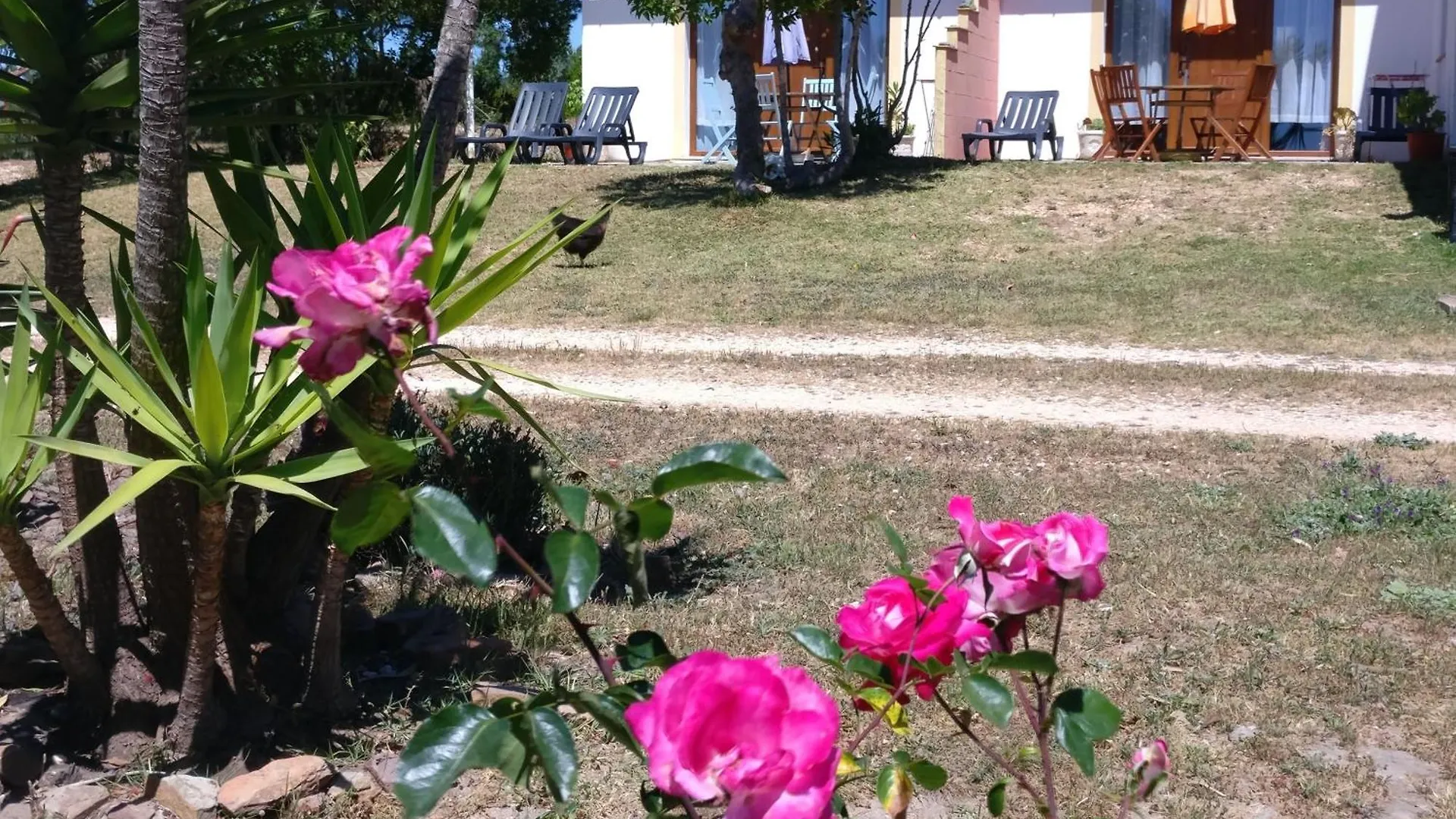 Quinta Reuffurth Daire Aljezur